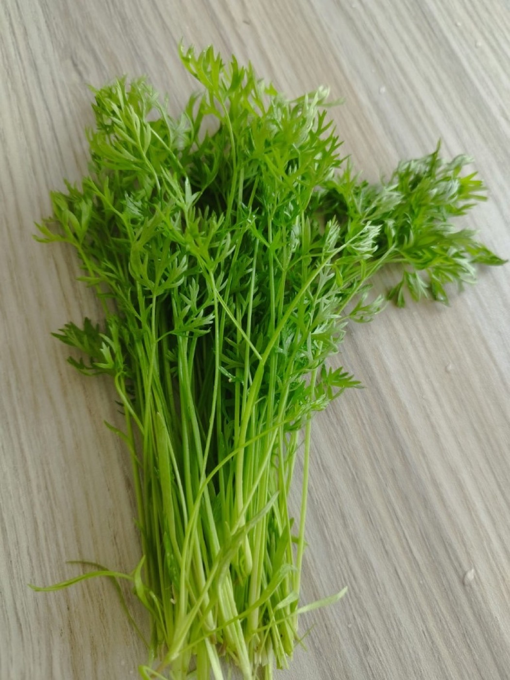 Carrot baby greens