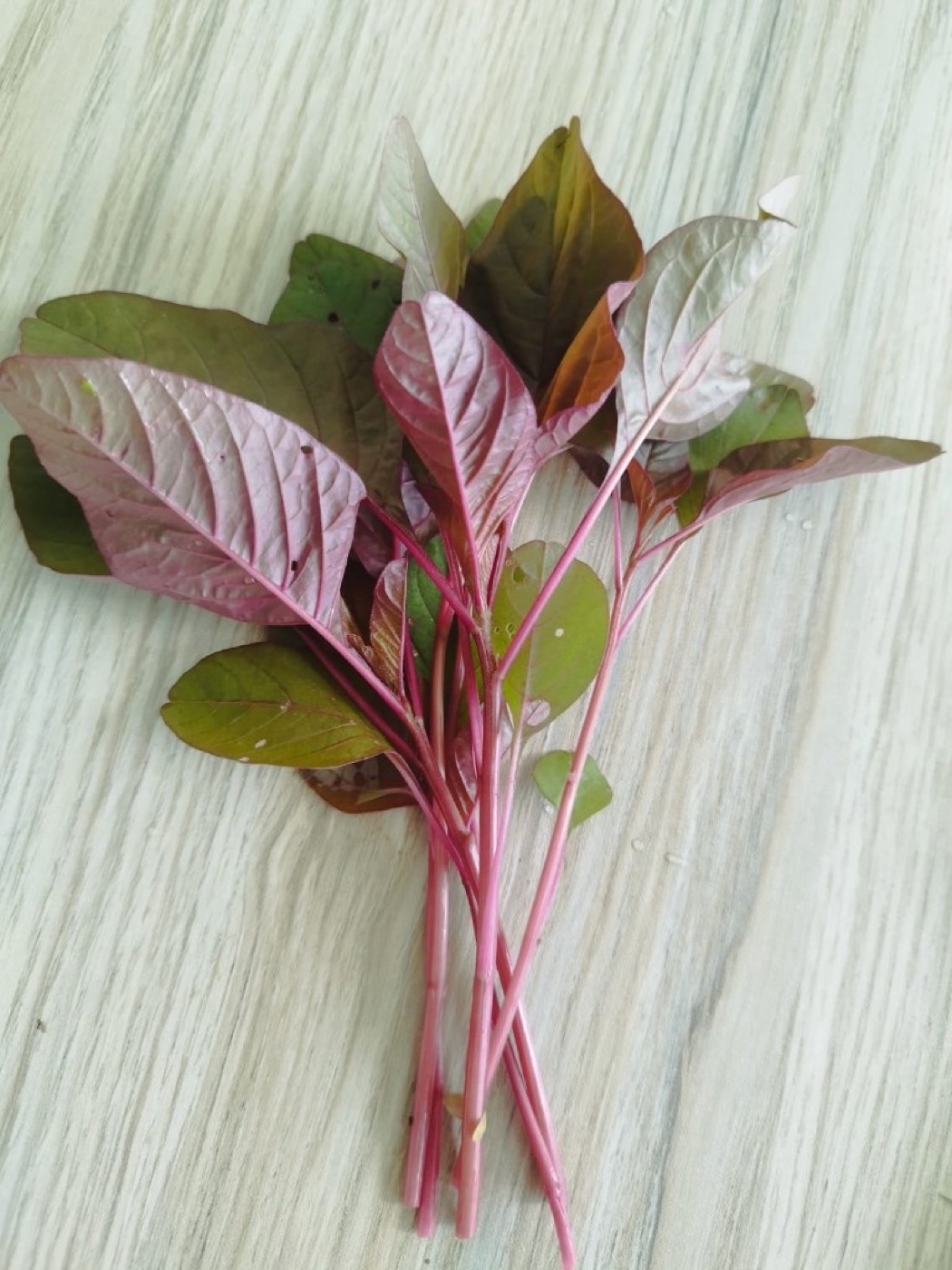 Red amaranthus baby greens from Peak Agro Lanka Sri Lanka